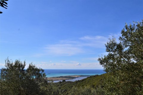 70000m² Land in Corfu, Greece No. 56660 4