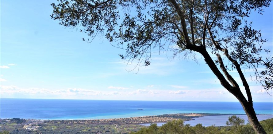 70000m² Land in Corfu, Greece No. 56660