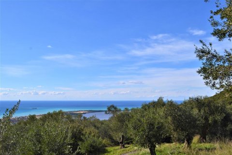 70000m² Land in Corfu, Greece No. 56660 5