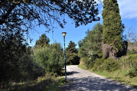 70000m² Land in Corfu, Greece No. 56660 19