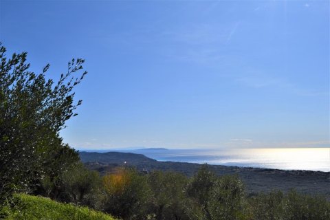 70000m² Land en Corfu, Greece No. 56660 6