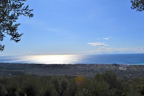 70000m² Land in Corfu, Greece No. 56660 3