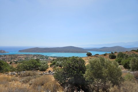 4803m² Land in Agios Nikolaos, Greece No. 54446 3