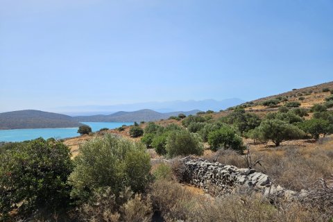 4803m² Land in Agios Nikolaos, Greece No. 54446 4