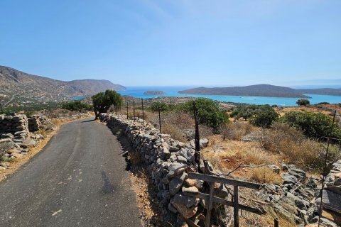 4803m² Land in Agios Nikolaos, Greece No. 54446 5