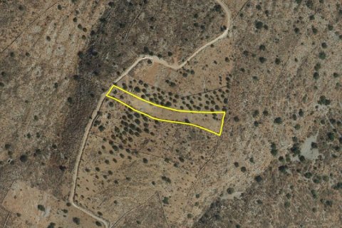 4803m² Land in Agios Nikolaos, Greece No. 54446 6