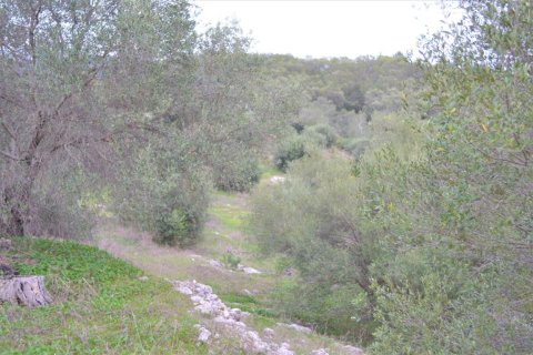 9500m² Land en Corfu, Greece No. 56799 4