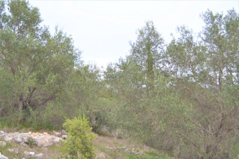 9500m² Land in Corfu, Greece No. 56799 2