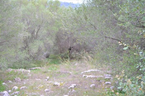 9500m² Land in Corfu, Greece No. 56799 3