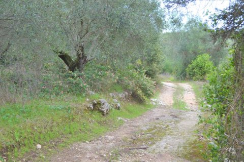 9500m² Land en Corfu, Greece No. 56799 6