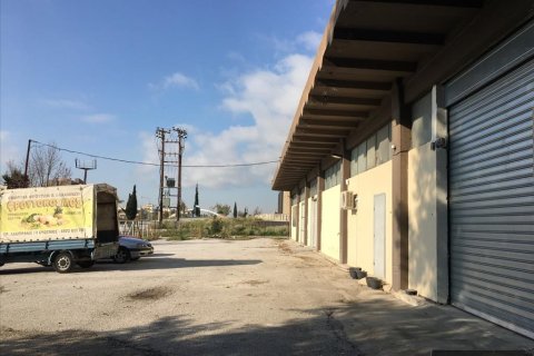 550m² Bâtiment à Evosmos, Greece No. 56819 2