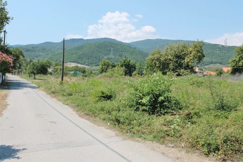 4600m² Land à Pieria, Greece No. 57954 3