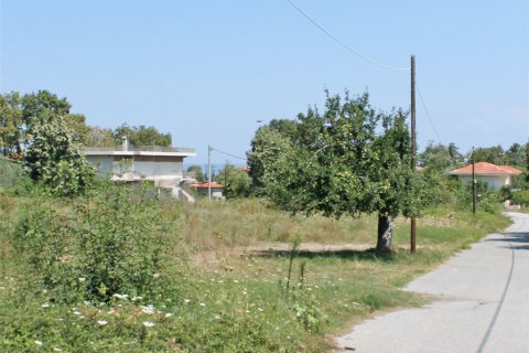 4600m² Land in Pieria, Greece No. 57954 1