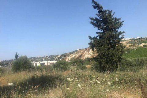 7150m² Land in Heraklion, Greece No. 55990 4