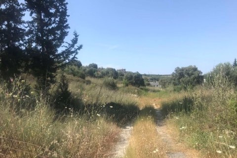 7150m² Land in Heraklion, Greece No. 55990 1