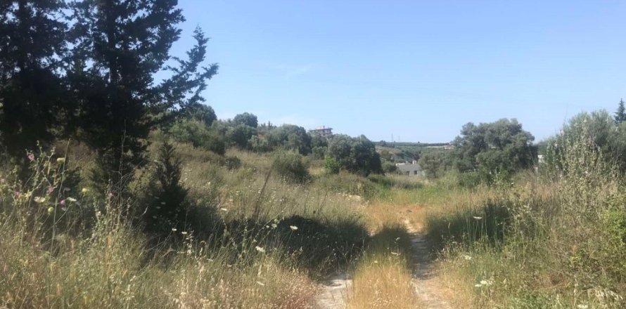 7150m² Land in Heraklion, Greece No. 55990