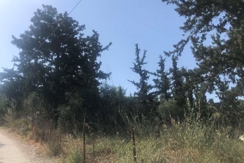 7150m² Land in Heraklion, Greece No. 55990 5