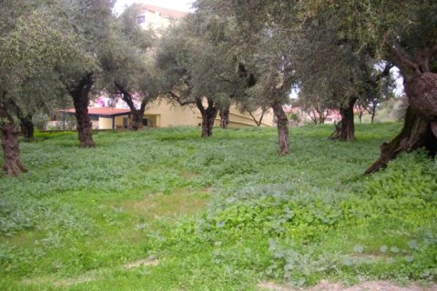 Land in Zakynthos, Greece No. 24693 2