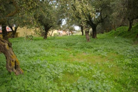 Land in Zakynthos, Greece No. 24693 5