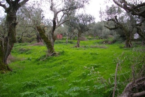 Land in Zakynthos, Greece No. 24693 4