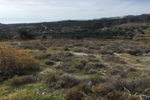 24274m² Land en Kalavasos, Cyprus No. 42076 3