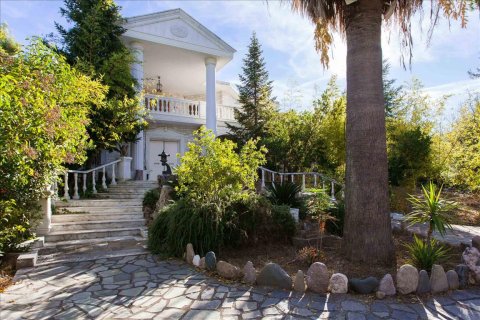 9 dormitorios Villa en Agios Stefanos, Greece No. 57711 5