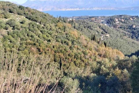 10500m² Land à Corfu, Greece No. 55731 2