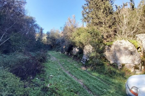 10500m² Land in Corfu, Greece No. 55731 3