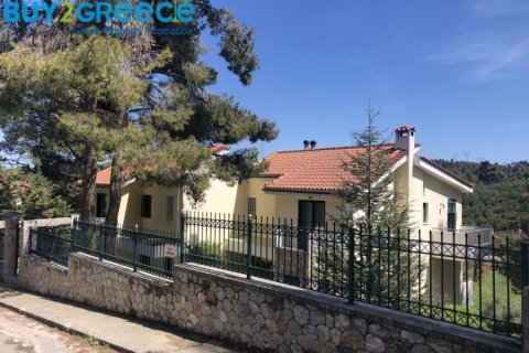 6 bedrooms House in Athens, Greece No. 52735 7