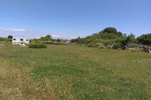 16800m² Land in Chalkidiki, Greece No. 58588 1