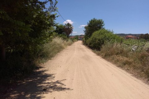 16800m² Land in Chalkidiki, Greece No. 58588 3