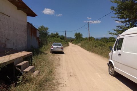 16800m² Land à Chalkidiki, Greece No. 58588 4