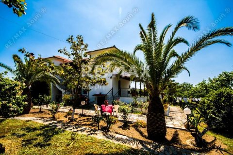 18 bedrooms Hotel in Magnesia, Greece No. 24247 24