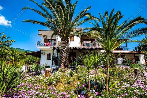 18 bedrooms Hotel in Magnesia, Greece No. 24247 22