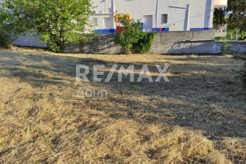 1023m² Land en Magnesia, Greece No. 24249 9