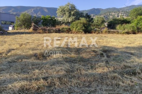 1023m² Land en Magnesia, Greece No. 24249 11