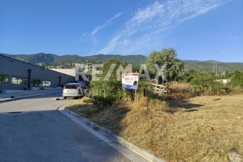 1023m² Land in Magnesia, Greece No. 24249 6