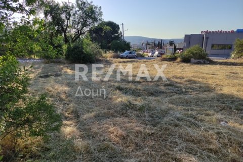 1023m² Land in Magnesia, Greece No. 24249 12