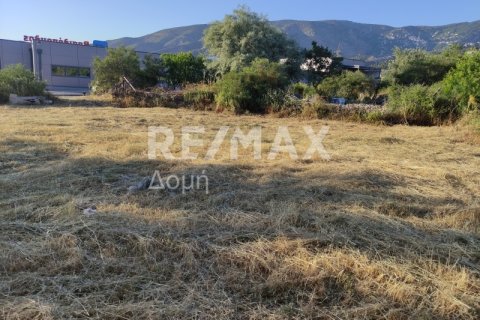 1023m² Land in Magnesia, Greece No. 24249 13