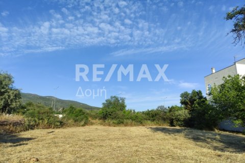 1023m² Land en Magnesia, Greece No. 24249 1