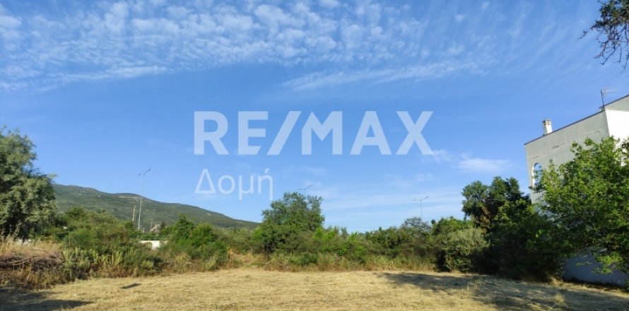 1023m² Land in Magnesia, Greece No. 24249