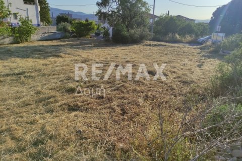 1023m² Land en Magnesia, Greece No. 24249 16