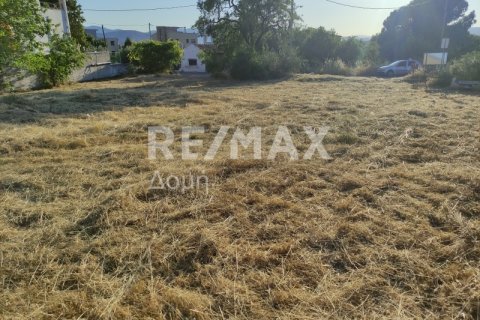 1023m² Land in Magnesia, Greece No. 24249 14