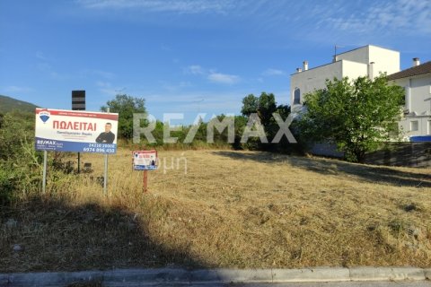 1023m² Land in Magnesia, Greece No. 24249 4