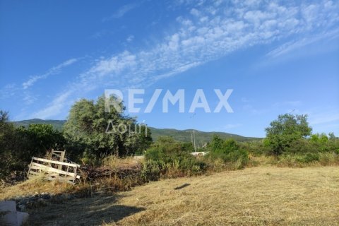 1023m² Land en Magnesia, Greece No. 24249 8