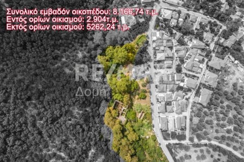 8166m² Land in Magnesia, Greece No. 24252 4