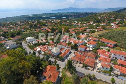 8166m² Land in Magnesia, Greece No. 24252 15