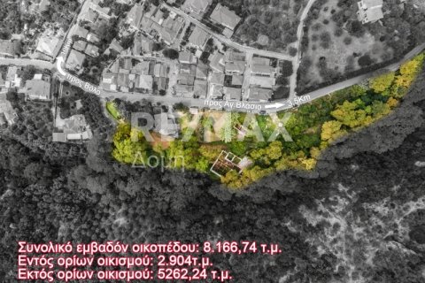 8166m² Land in Magnesia, Greece No. 24252 9