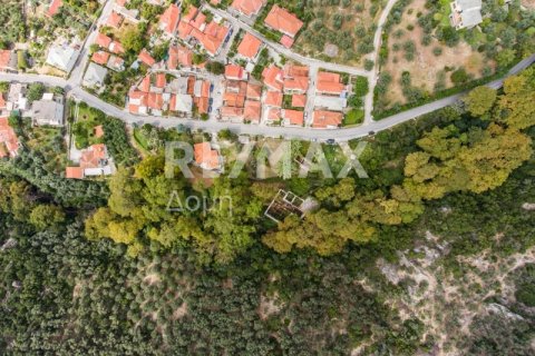 8166m² Land in Magnesia, Greece No. 24252 8