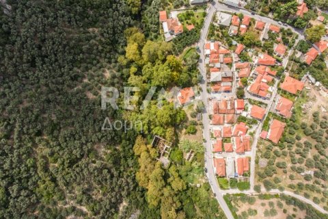 8166m² Land in Magnesia, Greece No. 24252 3